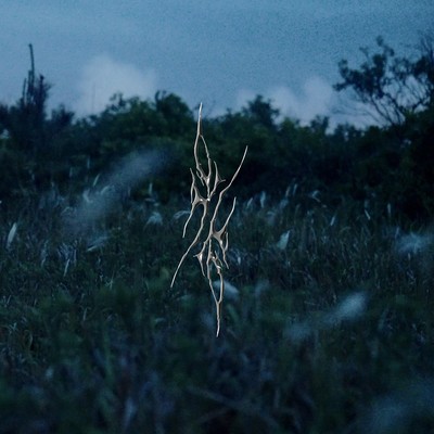 head is storming Front Cover