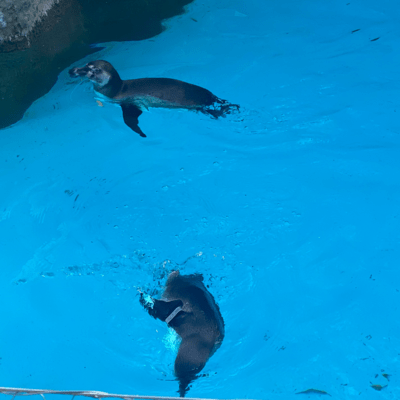 Blue moon (feat. TOUKA)のジャケット写真