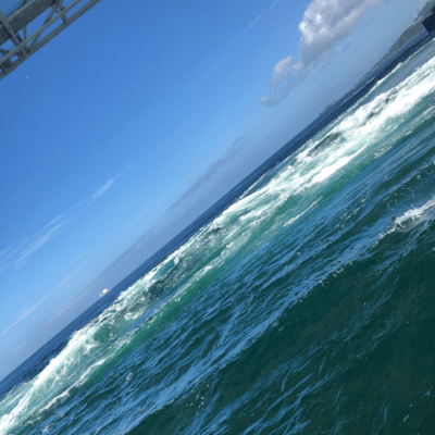 アオテンジョウのジャケット写真