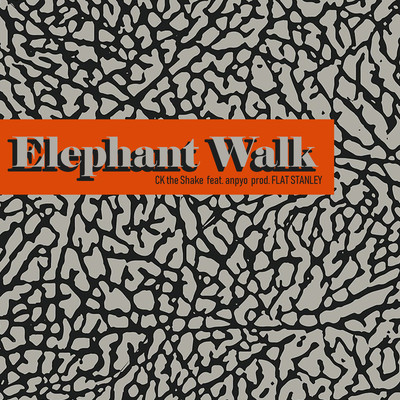 Elephant Walk (feat. anpyo) Front Cover