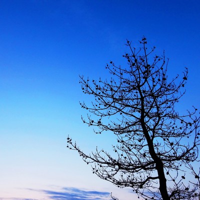 再生のジャケット写真