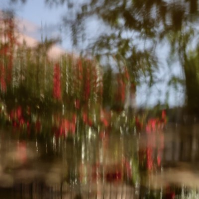 CALL IT A DAY Front Cover