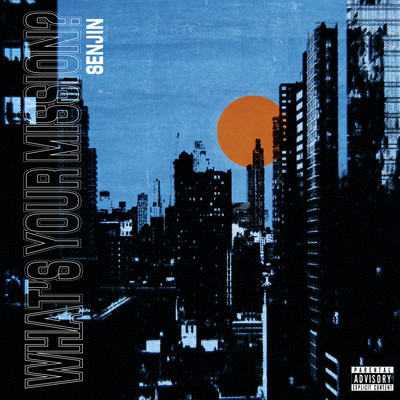 What's your mission? Front Cover