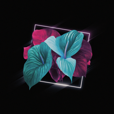 Anthurium Front Cover