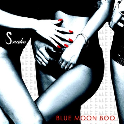 SNAKEのジャケット写真