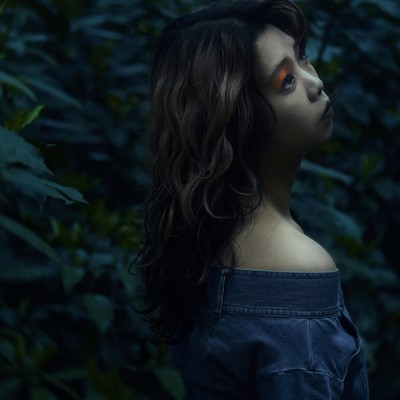 Papillon Front Cover