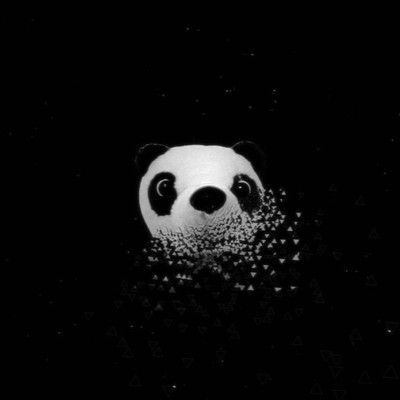 piece, bit, scrap Front Cover