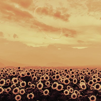 Yellow Days Front Cover