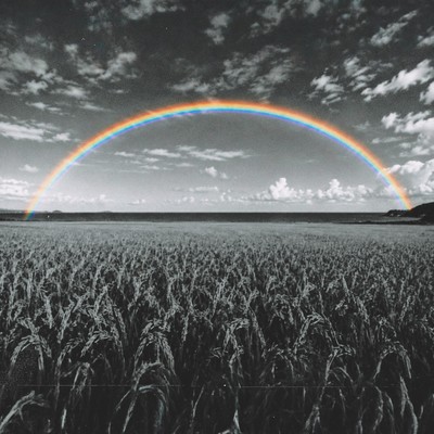 Like a rainbow after the rain Front Cover
