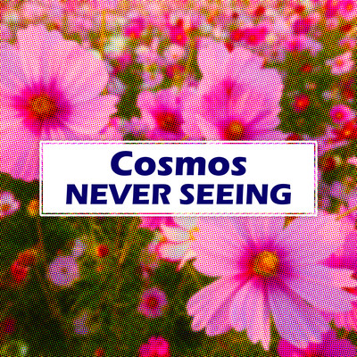Cosmos Front Cover