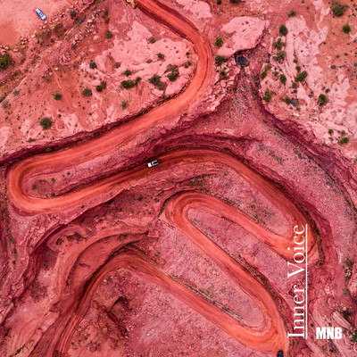 Inner Voice Front Cover