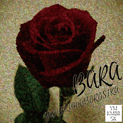 BARA Front Cover