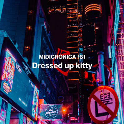 Dressed up kitty Front Cover