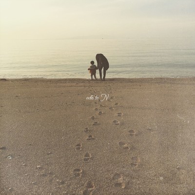 ode to Nのジャケット写真