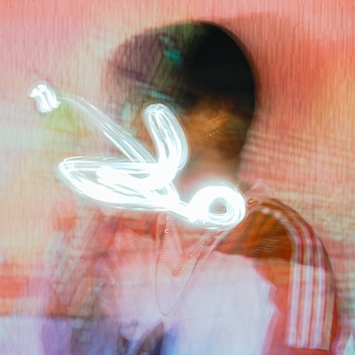 Invisible Man Front Cover