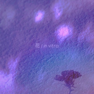 花のジャケット写真