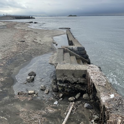 sh (a) eのジャケット写真