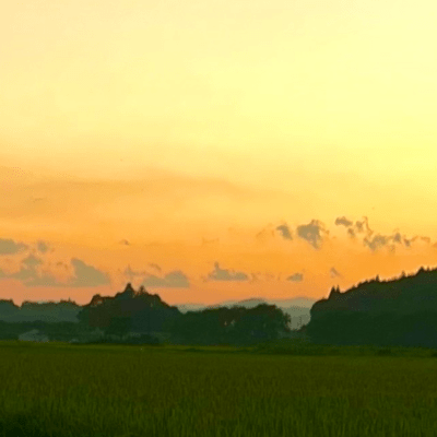 will findのジャケット写真