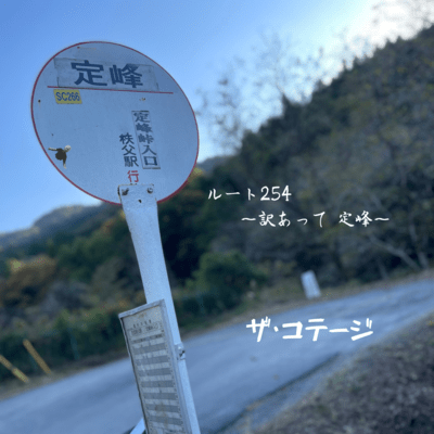 ルート254 ~訳あって定峰~のジャケット写真