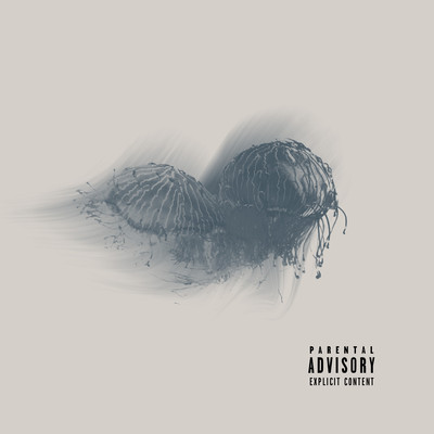 KOA Front Cover
