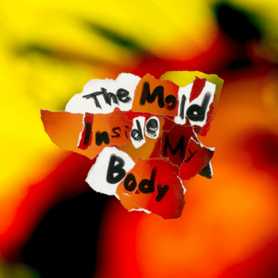 The Mold Inside My Body Front Cover