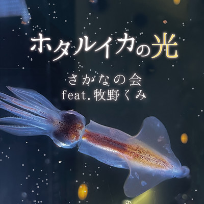 ホタルイカの光/深海ボサンバのジャケット写真