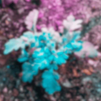 I Like Itのジャケット写真