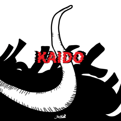 KAIDO Front Cover