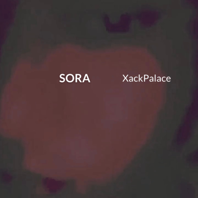 SORA Front Cover