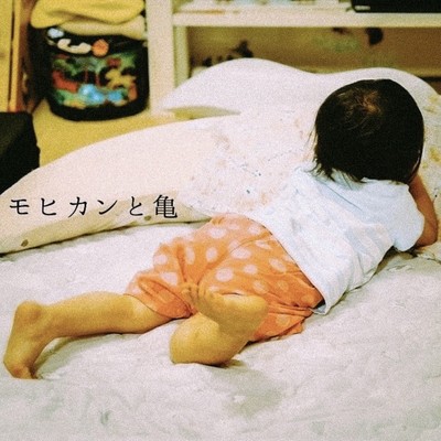 モヒカンと亀のジャケット写真