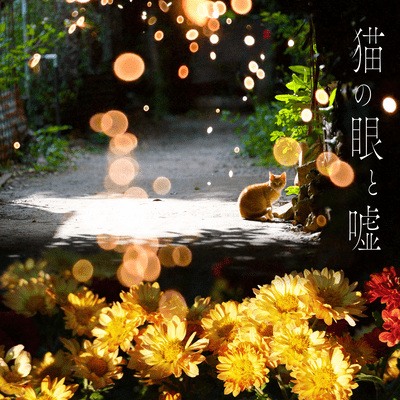 The Cat's Eyes and Lies (Re-recorded) Front Cover