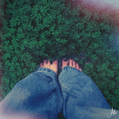 Meditation Front Cover