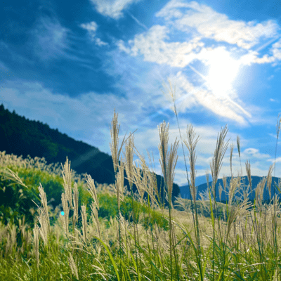 A Season Left Behindのジャケット写真