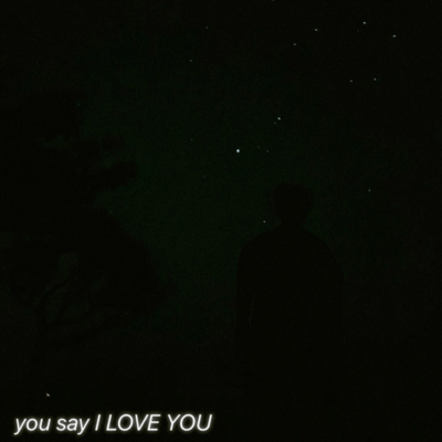 you say I LOVE YOU Front Cover