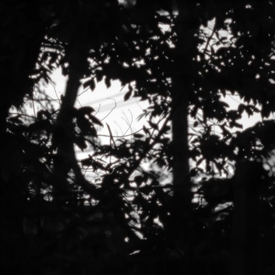 The Night Person Front Cover