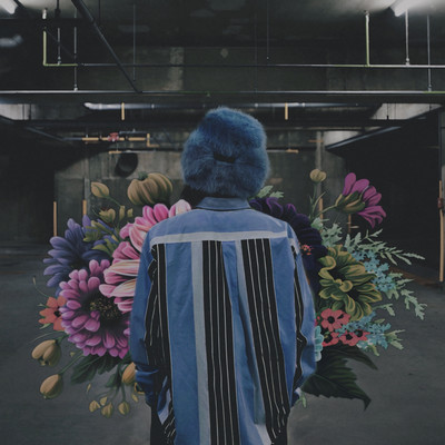 Like you sing a song Front Cover