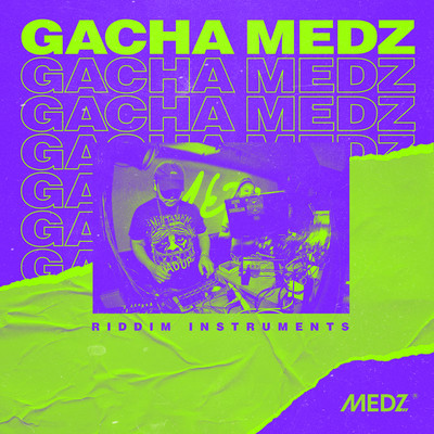 RIDDIM INSTRUMENTSのジャケット写真