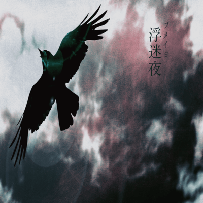 Nikakukei to kanjosen Front Cover