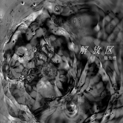 肺魚槽のジャケット写真