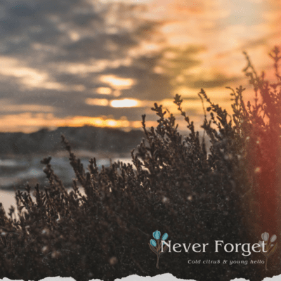 Never Forget Front Cover