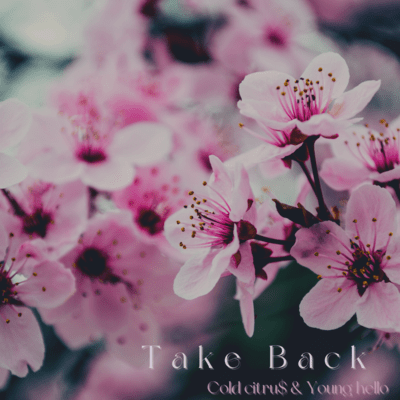 Take Back Front Cover