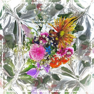 Hakoniwa Front Cover