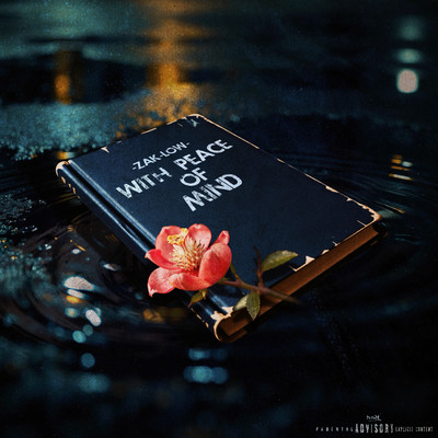 with peace of mind Front Cover