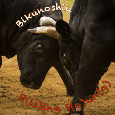 R (is) ing S (o) un (g) Front Cover