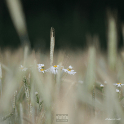 chamomile Front Cover