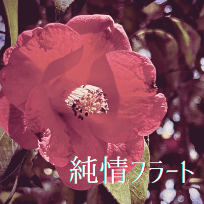 純情フラートのジャケット写真