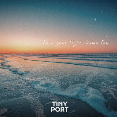 Turn Your Lights Down Low (Cover) Front Cover