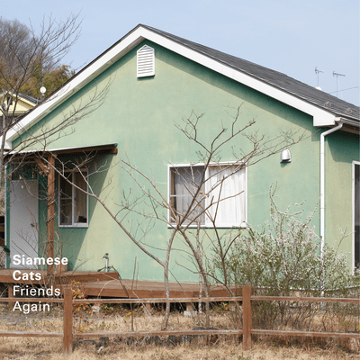 Friends Againのジャケット写真