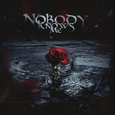 Nobody Knows Me Front Cover