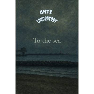 To the sea Front Cover